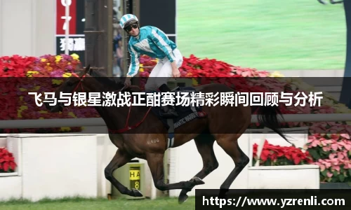 飞马与银星激战正酣赛场精彩瞬间回顾与分析